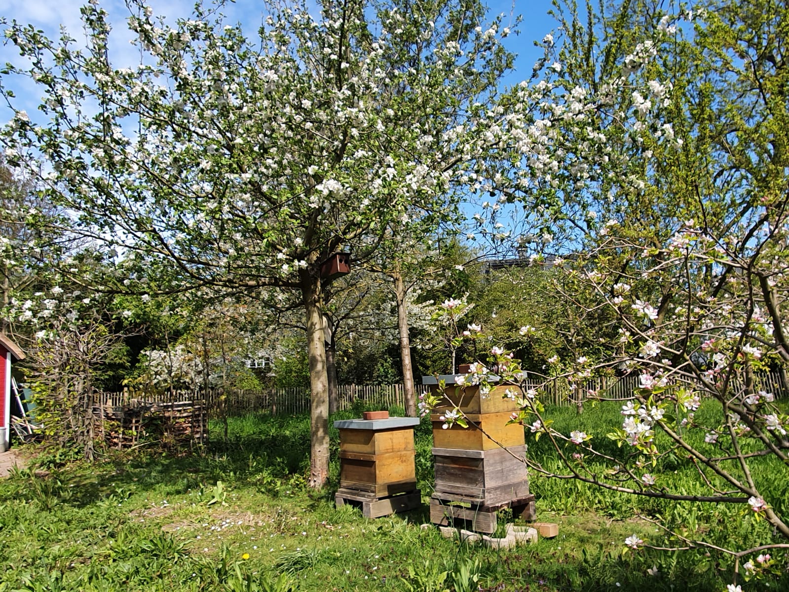 3cb30da1-e35b-40a2-9a97-ac3c4b9cab0d