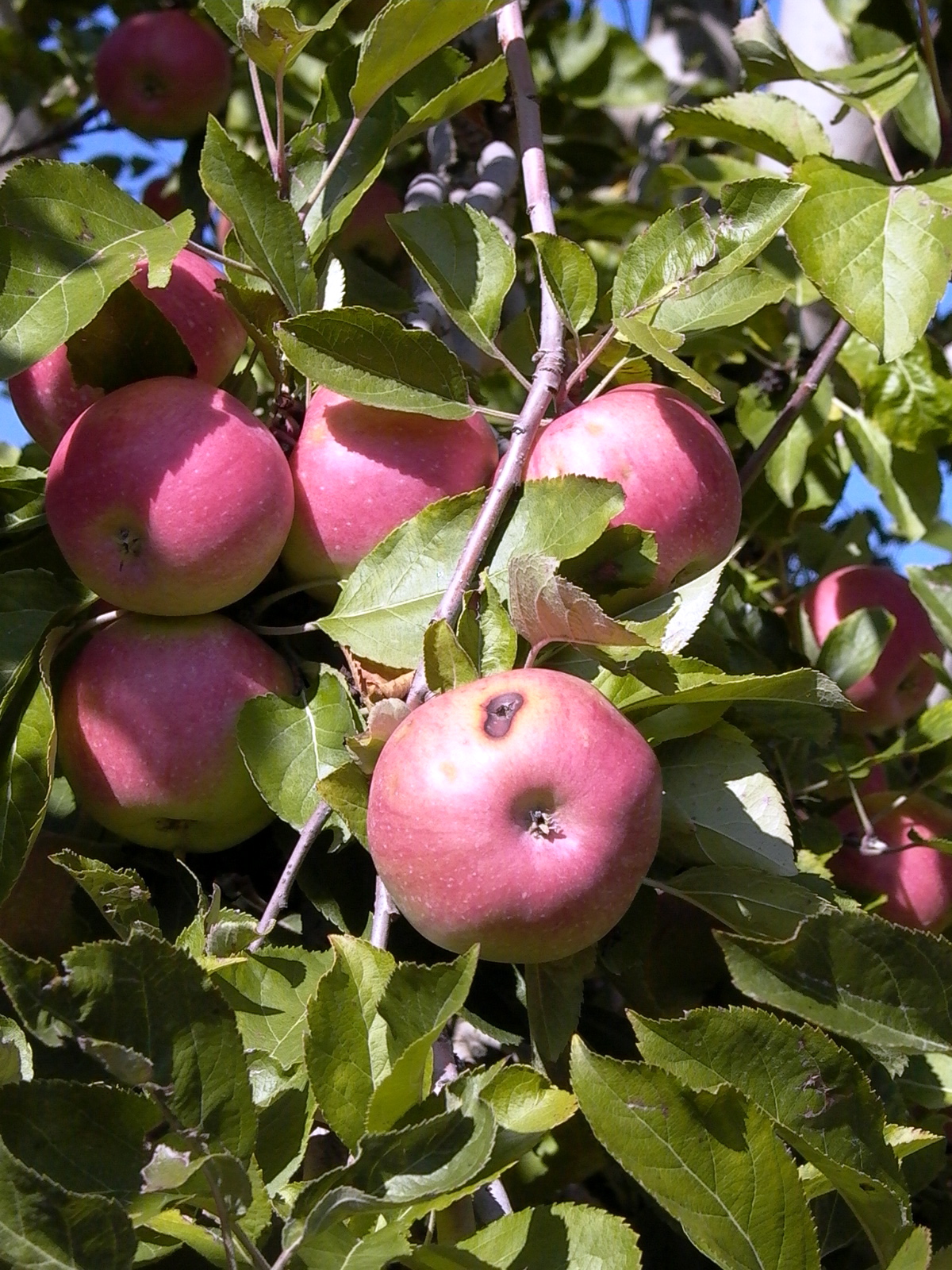 P1000336