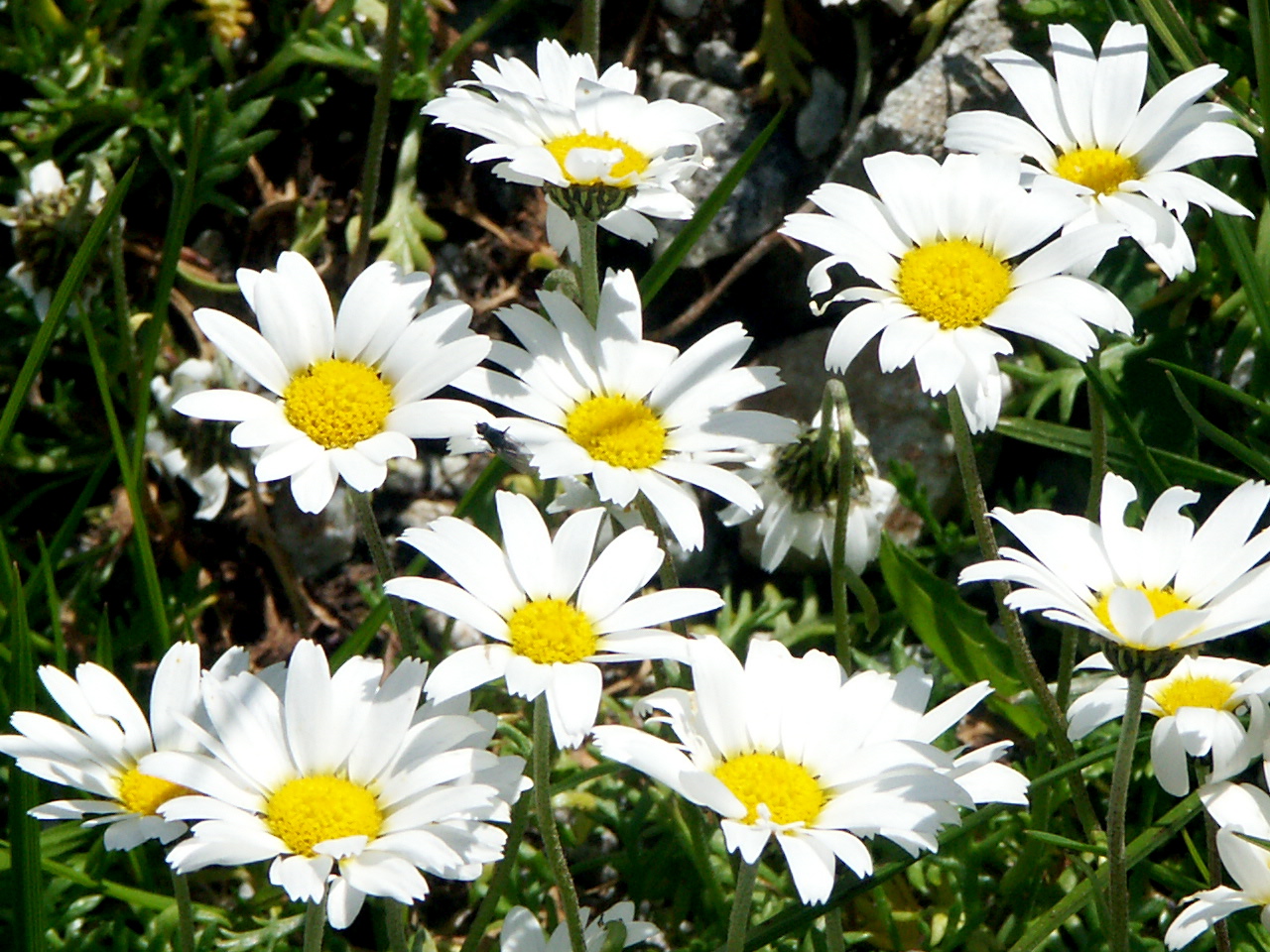 PICT0024