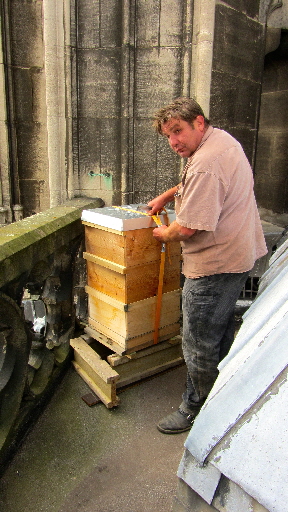 IMG_3423