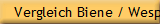 Vergleich Biene / Wespe