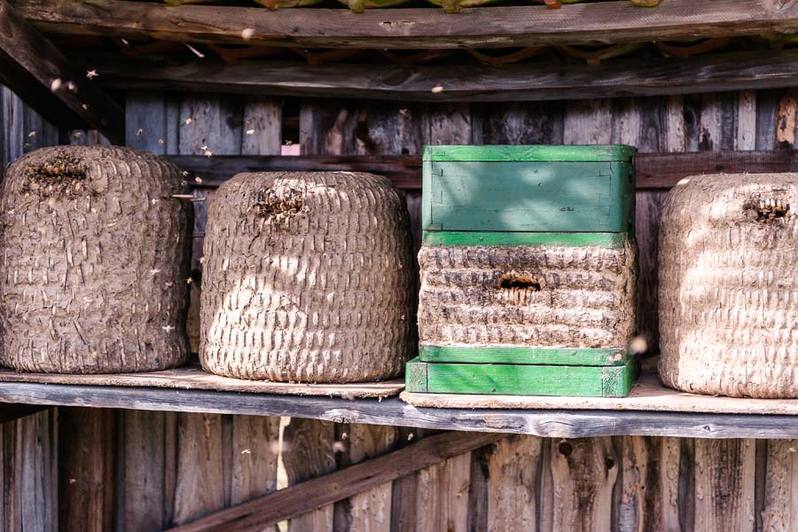 bienen-koerbe-170725